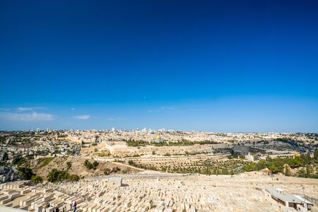 Skyline of the Old City at Temple Mount in Jerusalem from Garden of Gethsemane, Israel, Middle east