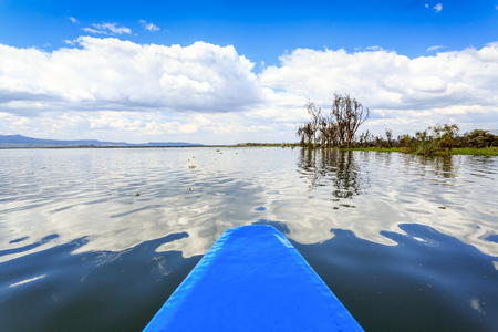 Naivasha lake cruise by blue canoe, Kenya, East Africaの写真素材