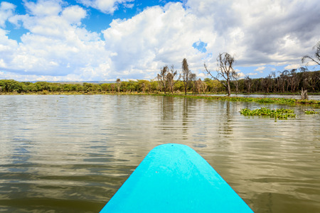 Naivasha lake cruise by blue canoe, Kenya, East Africaの写真素材