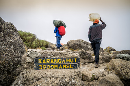 Porters carrying heavy load trekking Mount Kilimanjaro, Tanzaniaのeditorial素材