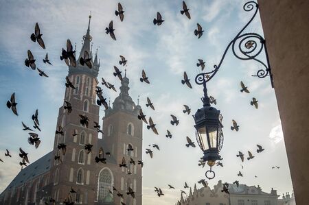 Church on Krakow's market square with birds, Poland, Europeの写真素材