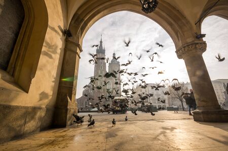 Beautiful market square with birds, Krakow, Poland, Europeの写真素材