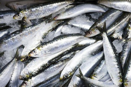 Many small sardines in ice creating fishy pattern