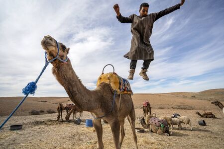 Marrakech, Morocco - January 14, 2010: A man jumping from his dromedary camel to show off on Agafay desert , Marrakech, Moroccoのeditorial素材
