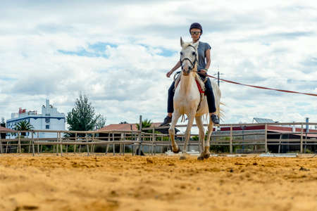 Portrait of a woman taking horse riding lessons in a paddockの写真素材
