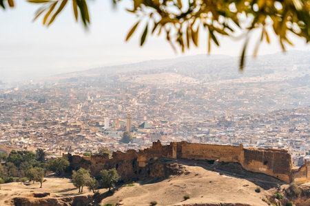 Fez skyline with city walls visible in the first plan, Morocco, North Africaの写真素材