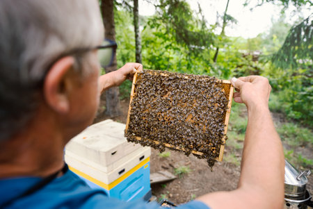 Fantastic beehive producing honey, nature, man and bee, sweet honey, honeycomb, nectar, beekeeping,...
