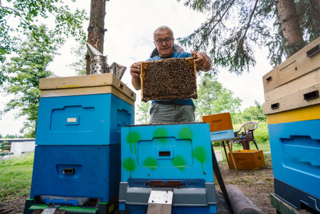 Fantastic beehive producing honey, nature, man and bee, sweet honey, honeycomb, nectar, beekeeping,...