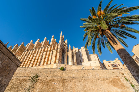 beautiful view of cathedral in Palma de Mallorca, Spain, Europeの写真素材