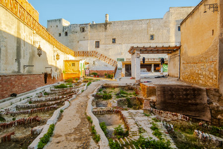 View of historic  Tannery in Tetouan, Morocco , North Africaの写真素材