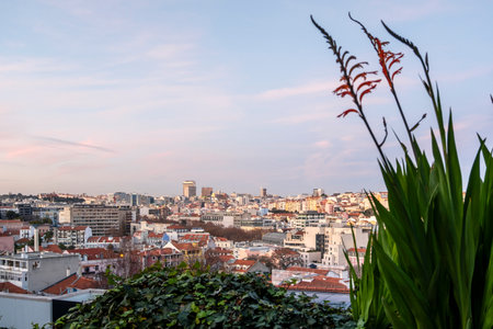 Beautiful Lisbon Rooftop and sky Viewsの写真素材