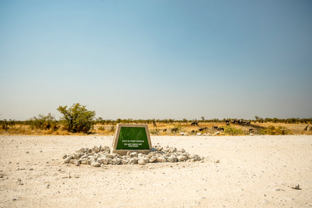 Elephants in the background with a small stone sign. A scene highlighting wildlife and visitor safety.の写真素材