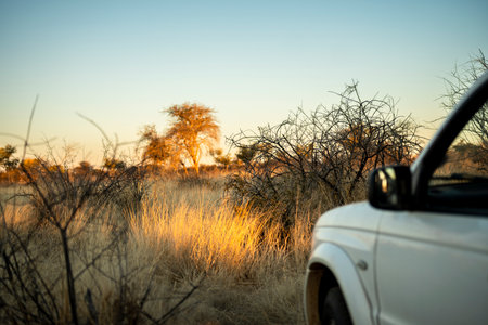 Wide view of the Namibian savanna under a clear blue sky with the car. Dry grasslands stretching to the horizon, showing the beauty and vastness of African nature.の写真素材