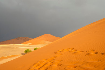 Sossusvlei in Namibia is a desert wonder, famous for its giant red dunes, glowing at sunrise and sunset, and its hauntingly beautiful dead tree valleys.の写真素材