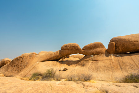 Granite peaks and rugged desert landscape at Spitzkoppe, Namibia. Golden grassland with scattered acacia trees contrasts against dramatic rocky mountains under a clear sky.の写真素材