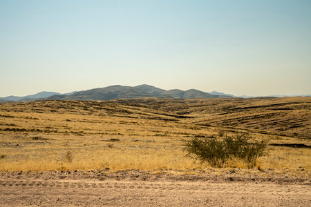 A stunning view of Gaub Pass in Namibia, showcasing the winding road through rugged desert mountains and arid landscapes. This remote route, part of the Namib Desert region, captures the beauty, solitude, and adventure of Namibia's natural sceneryの写真素材