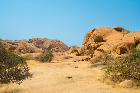 Granite peaks and rugged desert landscape at Spitzkoppe Community Campsite, Namibia. Golden grassland with scattered acacia trees contrasts against dramatic rocky mountains under a clear sky.の写真素材