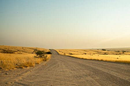 A wide-angle view of a roundabout near Usakos, Namibia, surrounded by dry desert terrain and set against a vivid blue sky. The photo captures the quiet, open landscape typical of central Namibia, with a well-paved roadの写真素材