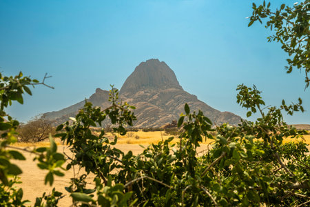 Granite peaks and rugged desert landscape at Spitzkoppe Community Campsite, Namibia. Golden grassland with scattered acacia trees contrasts against dramatic rocky mountains under a clear sky.の写真素材