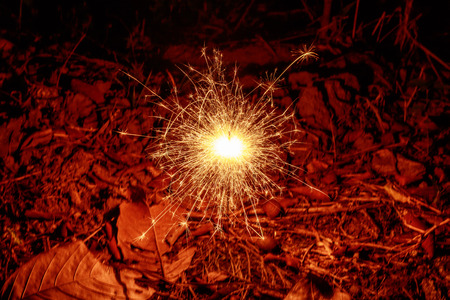 fireworks in garden nightの写真素材