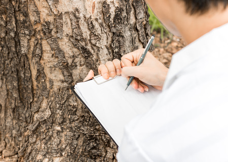 men Take notes after check tree in gardenの写真素材