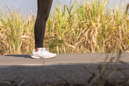 Close up Athlete running woman wearing Exercise pants and running shoe on the road,Runner woman...