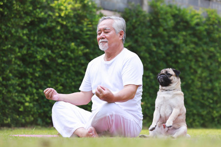 Asian Elderly man doing yoga in the garden.の写真素材