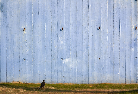painted in light blue color concrete wall mimics the Boardの写真素材