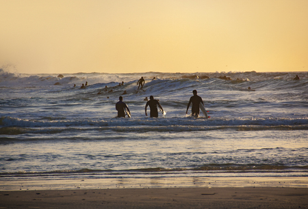 silhouettes of three surfers at sunset on the beachの写真素材