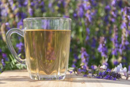 glass cup of tea on a background of grassの写真素材