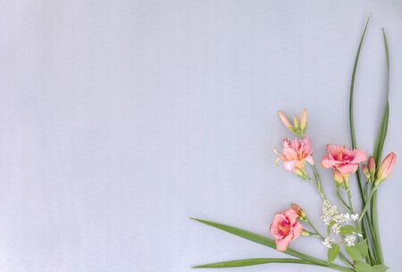 Corner frame with flowers of lilies on grey paperの写真素材