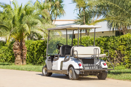 A white electric car parked against a background of palm treesの写真素材