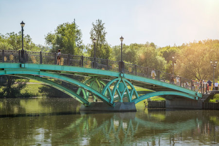 A metal bridge over a pond in a picturesque park