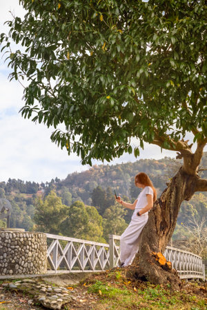 A woman with a smartphone in her hand leaned back against an old tree next to a wooden bridge