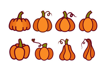 Illustration of various pumpkins set. Isolated on white background. Elements for autumn needsのイラスト素材
