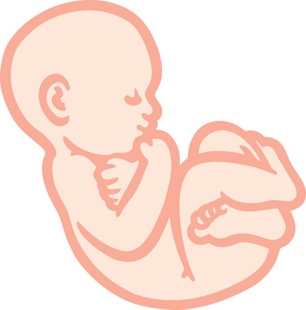 babyのイラスト素材