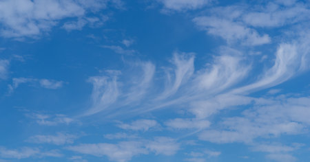 Looking up, the sky is beautifulの写真素材