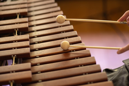 A person playing the xylophoneの写真素材