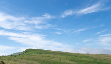 A refreshing morning on the plateau of Kirigamineの写真素材