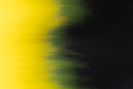 Beautiful yellow and black backgroundの写真素材