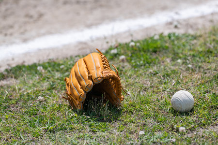 A scene with a globe on the grassの写真素材