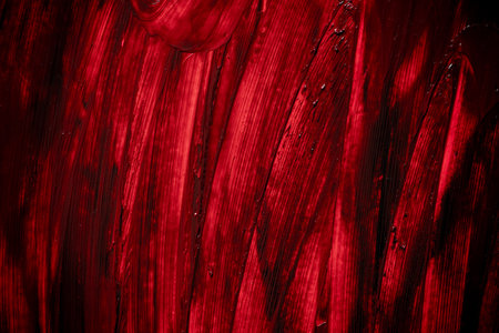 Red and black paint patternの写真素材