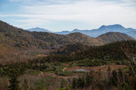 Beautiful autumn leaves at Tsugaike Highlandsの写真素材