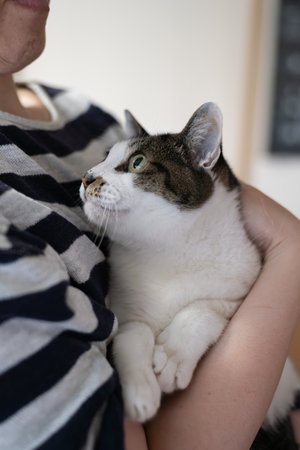 Cuddling a cute catの写真素材