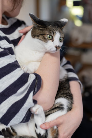 Cuddling a cute cat