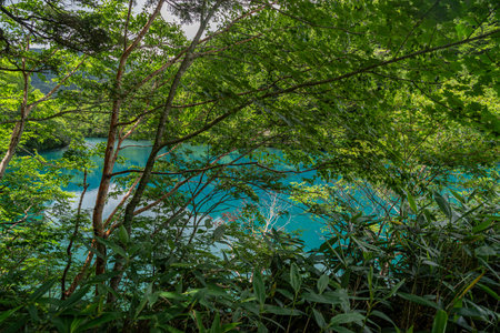 The beautiful blue surface of Lake Onuma in Shiga Kogenの写真素材