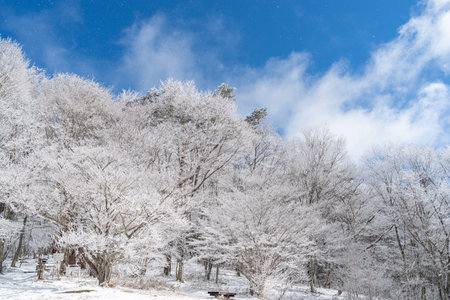 Hoarfrost and blue skyの写真素材