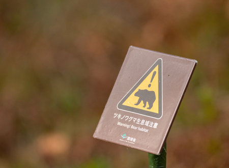 Sign warning of Asiatic black bear habitatの写真素材
