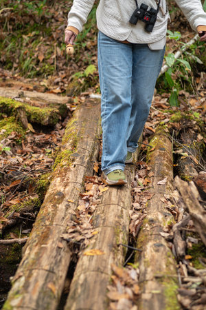 Crossing a slippery log bridgeの写真素材