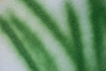 Green spray paint background